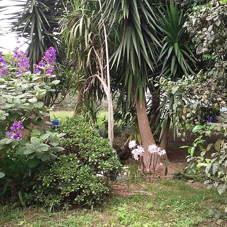 Quinta Das Ras Ponta Delgada  Exterior photo