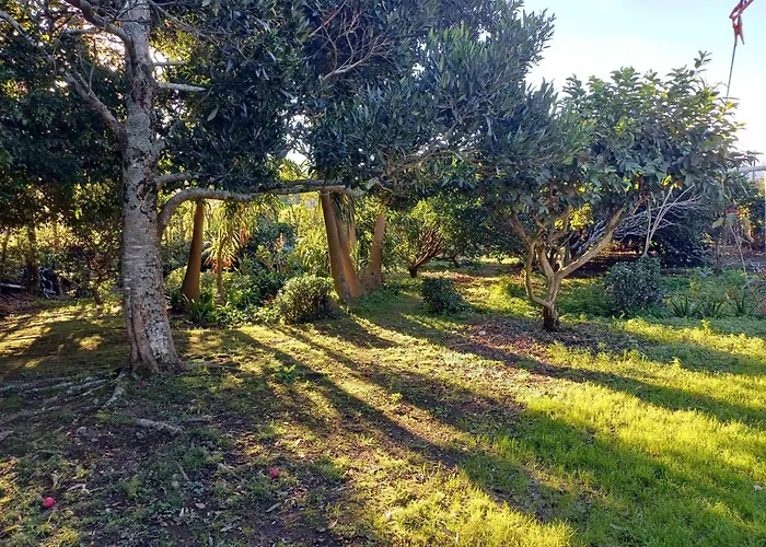 Quinta Das Ras