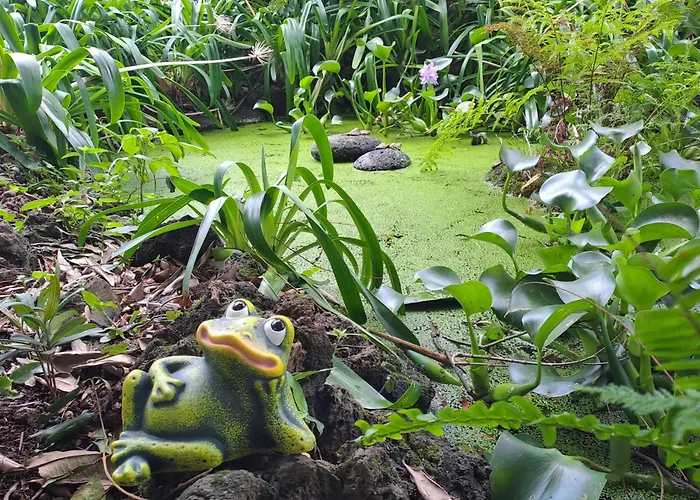 Quinta Das Ras