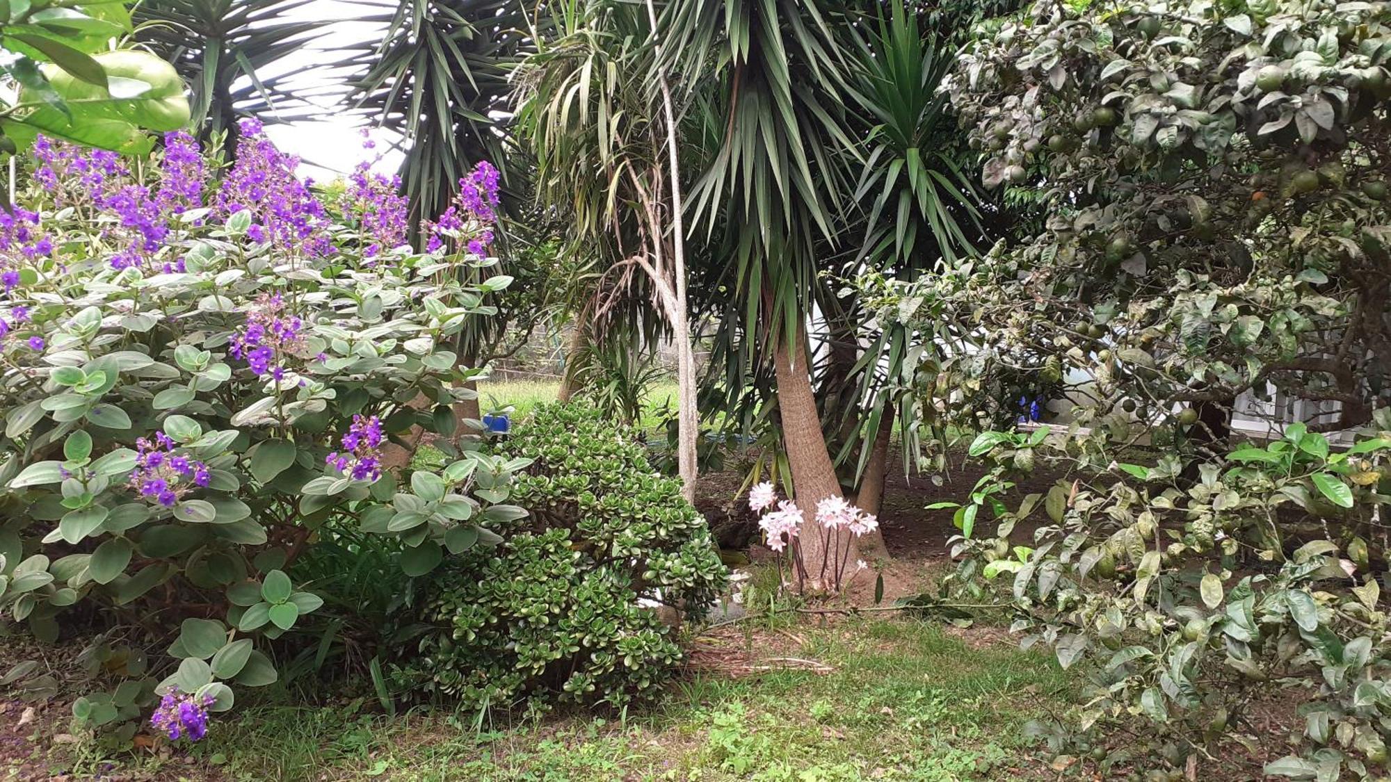 Quinta Ras
